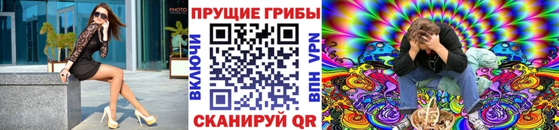 закладки  Агидель  мега маркетплейс  Галлюциногенные грибы Psilocybe 